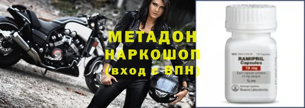 индика Инта