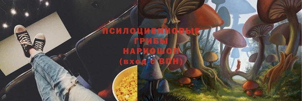 крисы Иннополис