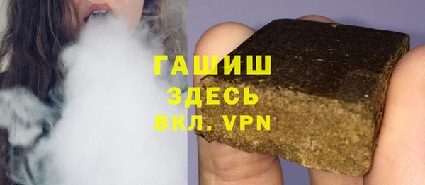 индика Инта