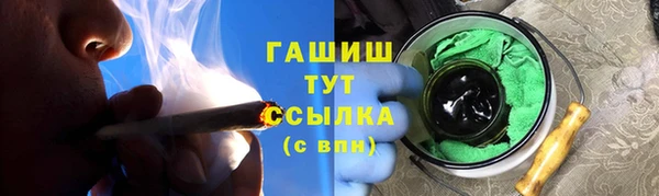 индика Инта