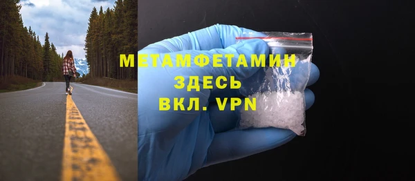 индика Инта