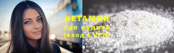 индика Инта