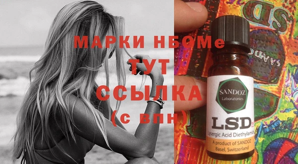 индика Инта
