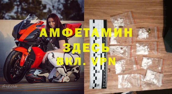индика Инта