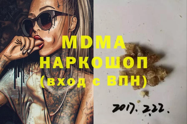 индика Инта