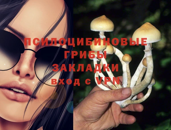 крисы Иннополис