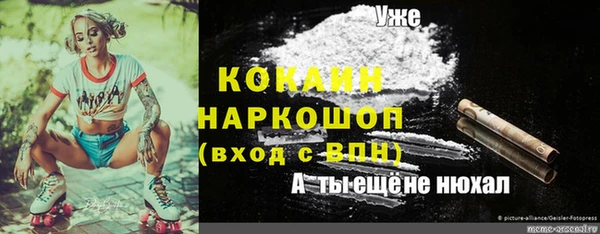 индика Инта