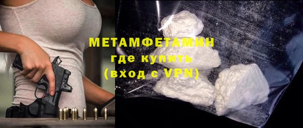 индика Инта