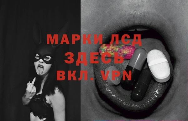 индика Инта