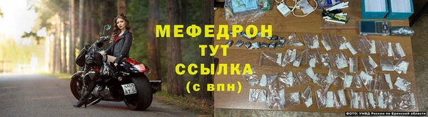 индика Инта