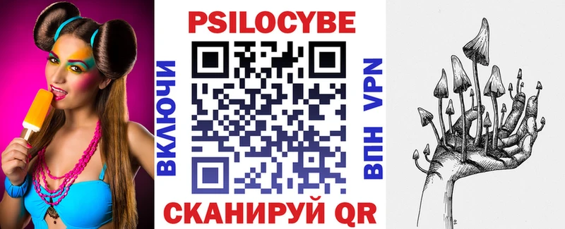 Купить где  Макаров  Галлюциногенные грибы мицелий 